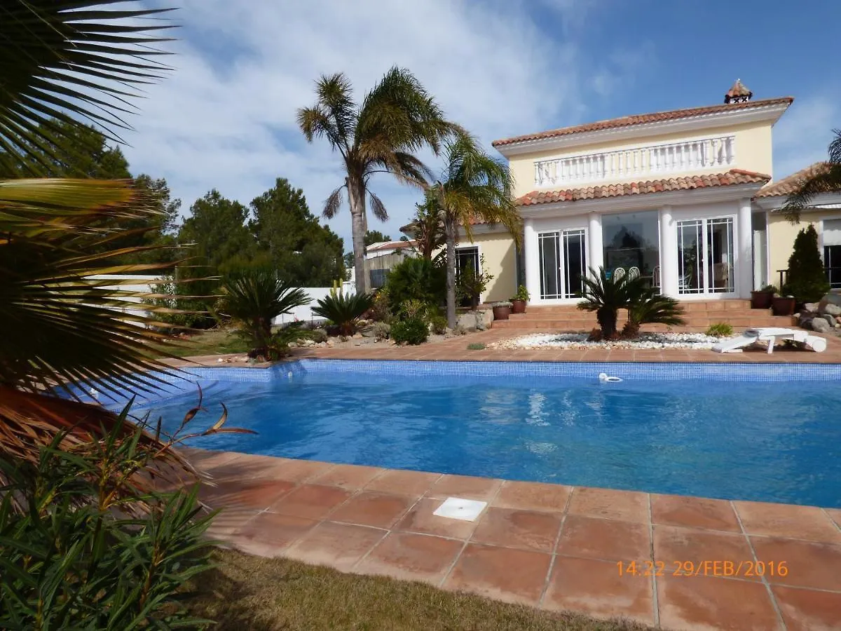 Villa Harley Miami Playa Pool